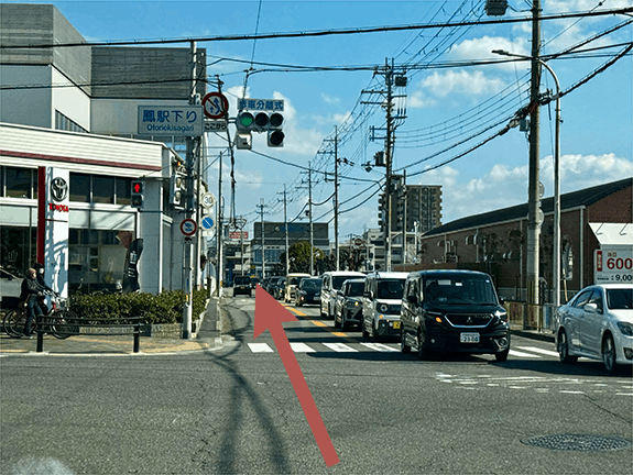 堺市ダイエットエステ｜寝てるだけでLLサイズがMサイズに｜人生最後のダイエット Titania-ティターニア-