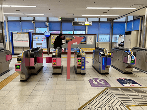 堺市ダイエットエステ｜寝てるだけでLLサイズがMサイズに｜人生最後のダイエット Titania-ティターニア-